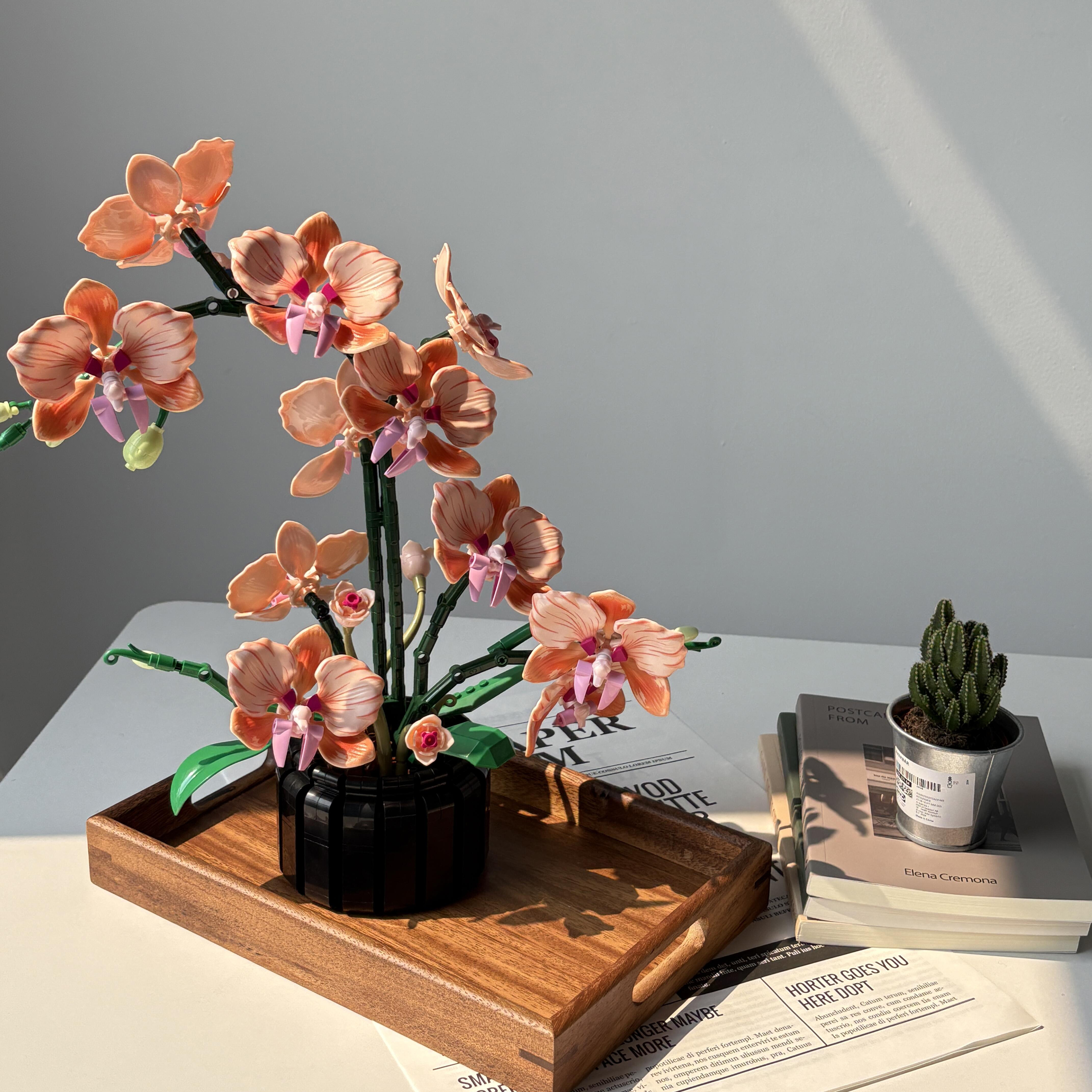 Orange Phalaenopsis Orchid Bui - Interior Design Office ulasan dan harga