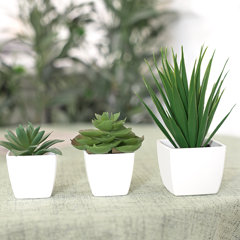 3PCS Artificial Evergreen Plan - Interior Design Office ulasan dan harga