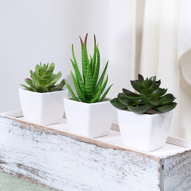 3PCS Artificial Evergreen Plan - Interior Design Office ulasan dan harga